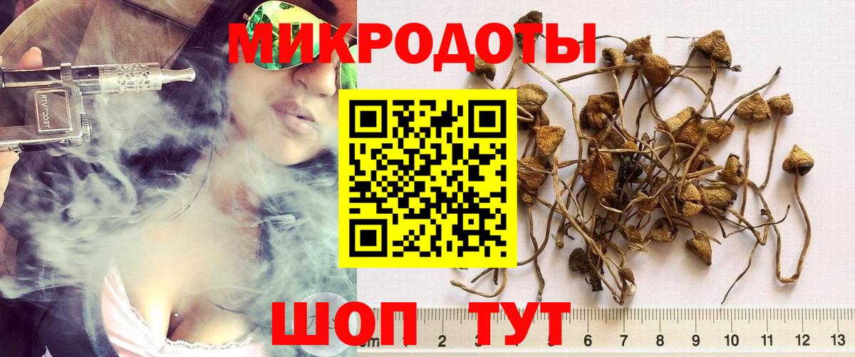 Псилоцибиновые грибы мухоморы Луховицы