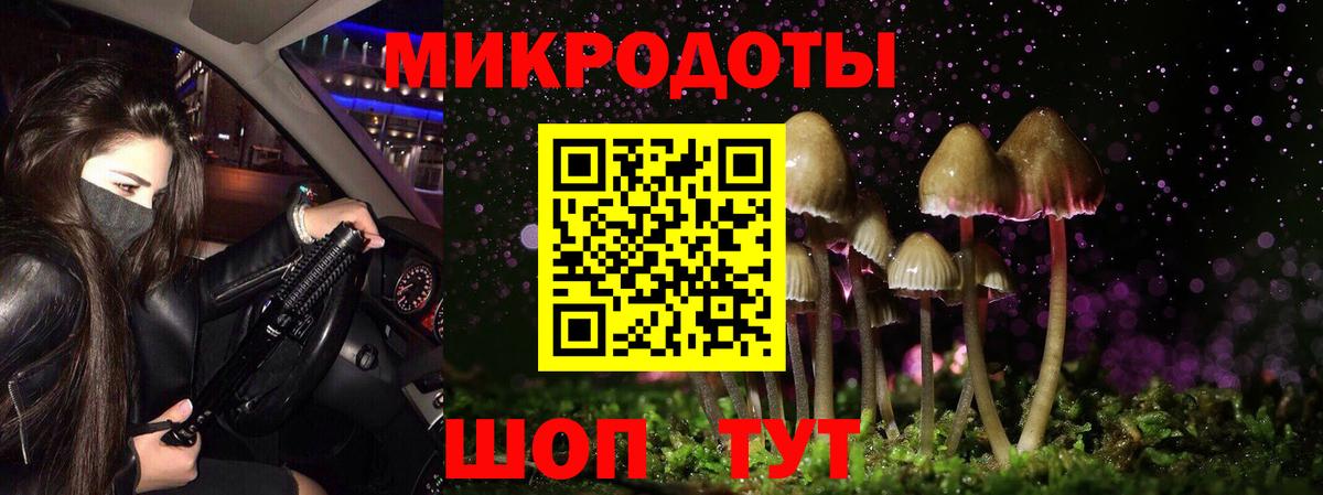 Псилоцибиновые грибы прущие грибы  Вход с VPN  Луховицы 